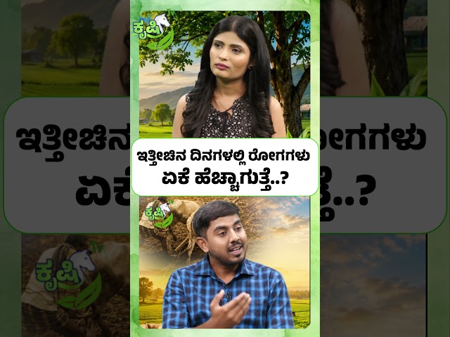 ಇತ್ತೀಚಿನ ದಿನಗಳಲ್ಲಿ ರೋಗಗಳು ಏಕೆ ಹೆಚ್ಚಾಗುತ್ತೆ...? Why Crop Diseases Increasing