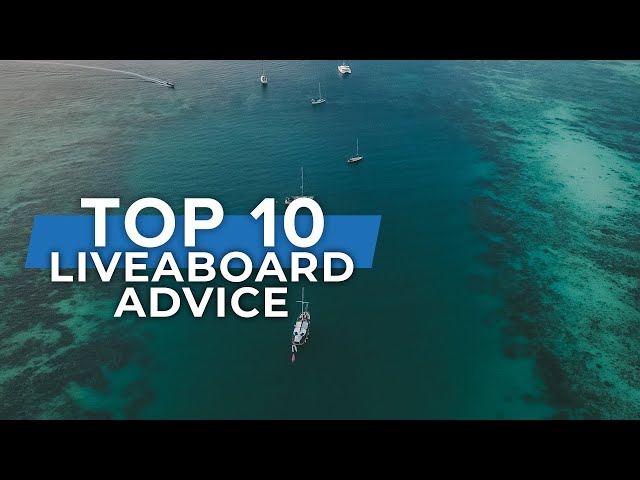 Scuba Liveaboard Tips | #Top10 #Liveaboard #Scuba |  @Scuba Diver Magazine