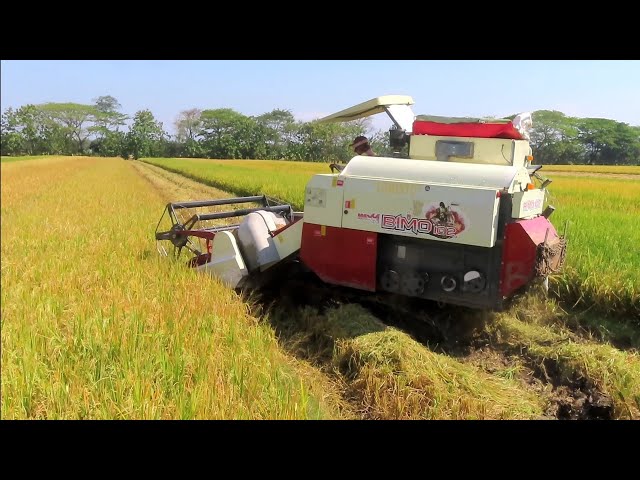KOMBET SAWAH PADI BIMO MUTER BALIK SUSAH LAHAN SEMPIT