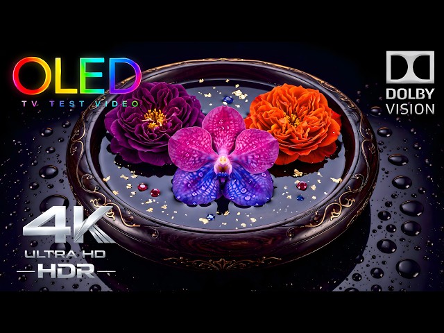 The OLED Test That Puts Color First | 4K HDR 60FPS Dolby Vision Demo (4K Video Ultra HD)