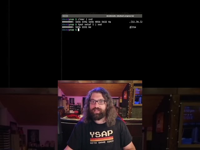 Building a TUI progress bar from scratch - showing ANSI escape codes