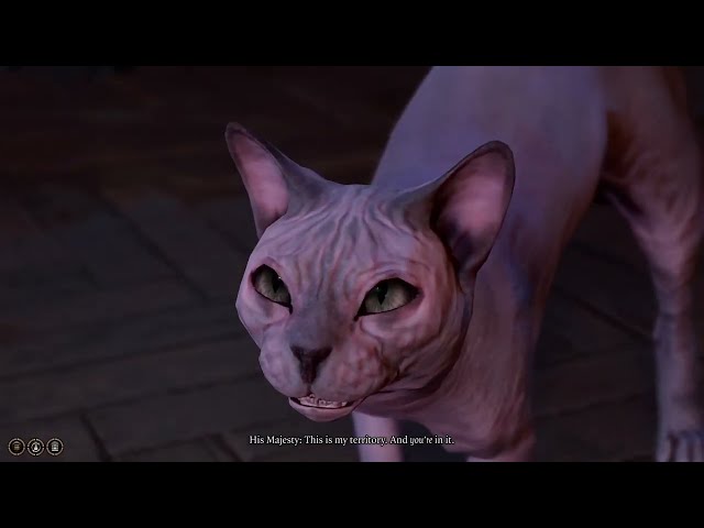 Baldur's Gate 3 - His Majesty