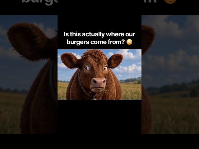 Wasn’t expecting that plot twist 🤣 #cows #beef #comedy #funny #animation #hilarious #alien #uk