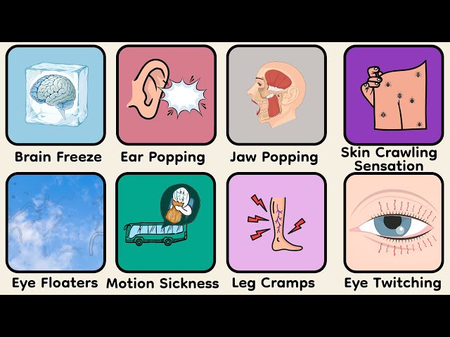 Every Body Glitch Explained