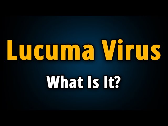 Lucuma Virus: What Is It & How to Remove Lucuma Adware?