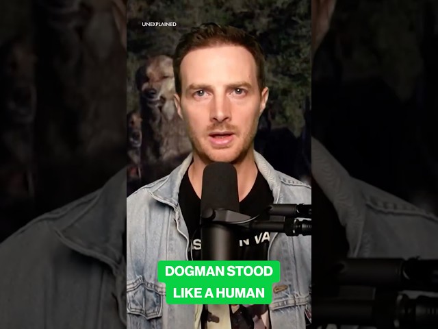 The Dog That Stood Like a Human: Terrifying Pack Encounter in the Woods
