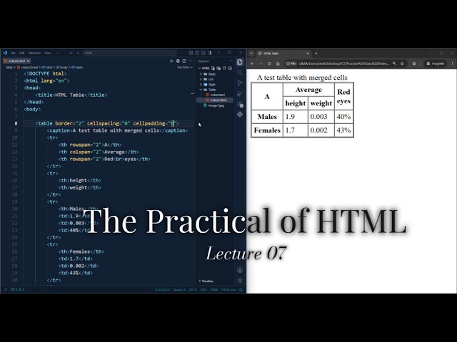 HTML Tags Practical Lecture 07 | Learn HTML by Building Real Examples | HTML For HSC Students