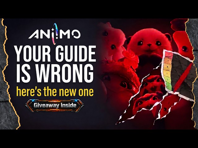 ANIIMO Day One: The First 10 Hours, Step by Step
