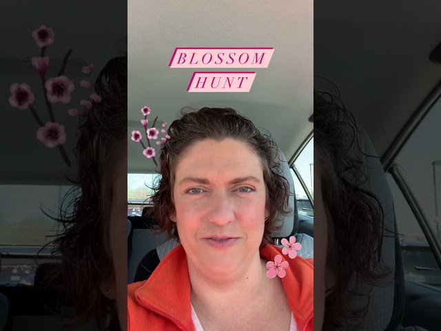 Cherry Blossom ArtinBloom Hunt
