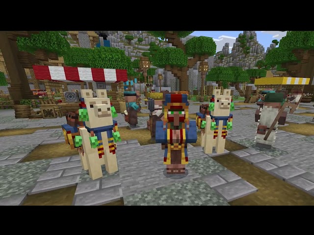 Minecraft Village Square: Participation