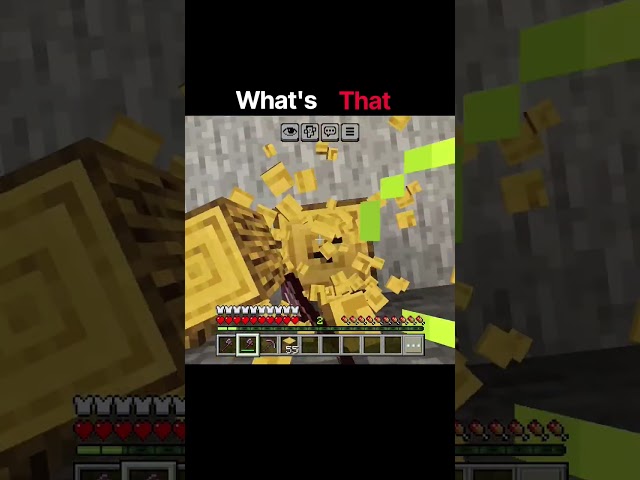 what's this!!! #minecraft #shorts #viral