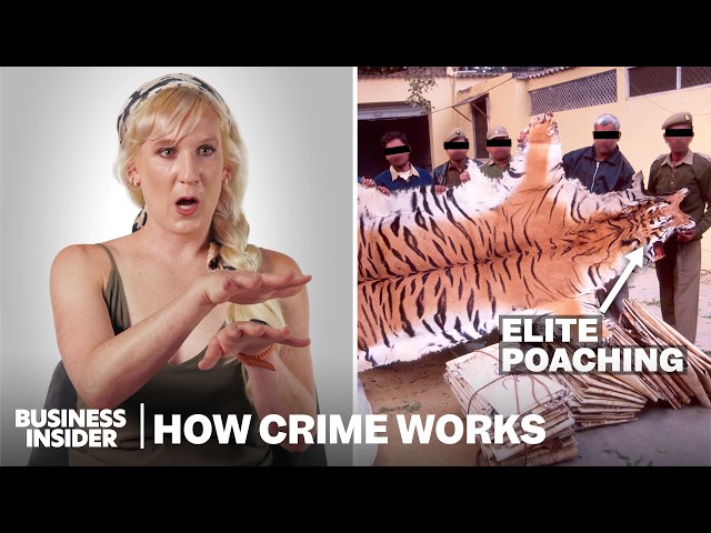How The Wildlife Black Market Actually Works | How Crime Works | Insider