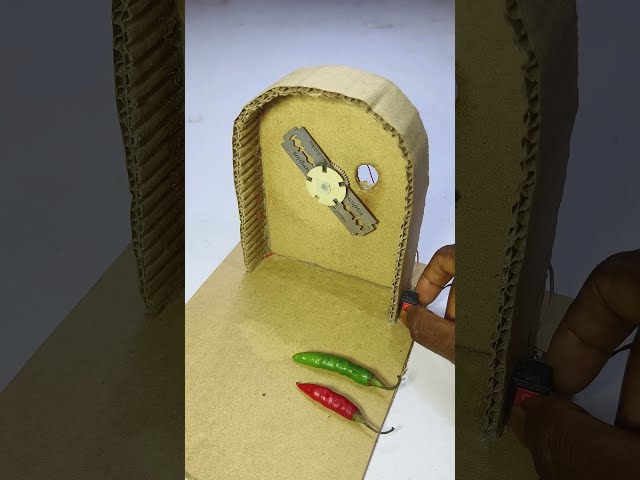 chilli cutter diy tool 🌶️ #chilimachine #youtubeshorts #diy #motor #shorts