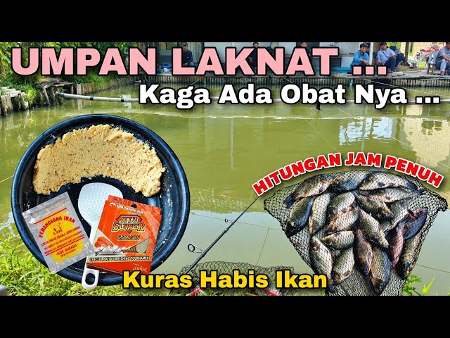No Mercy...‼️ Carp Fishing, Cleaning Out the Pond