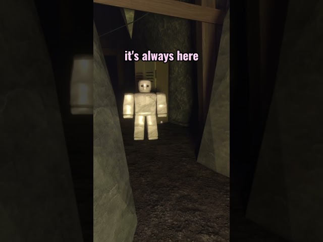 I TOOK PORTRAIT TO THE MINES #roblox #doors