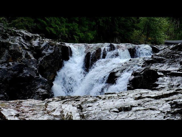 🔊 Roaring Waterfall Ambience | Weeks Falls Full Nature Film