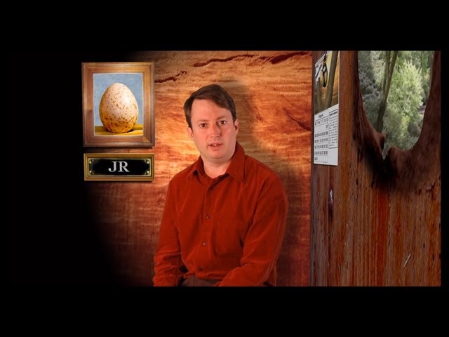 Signing Boobs | David Mitchell's SoapBox