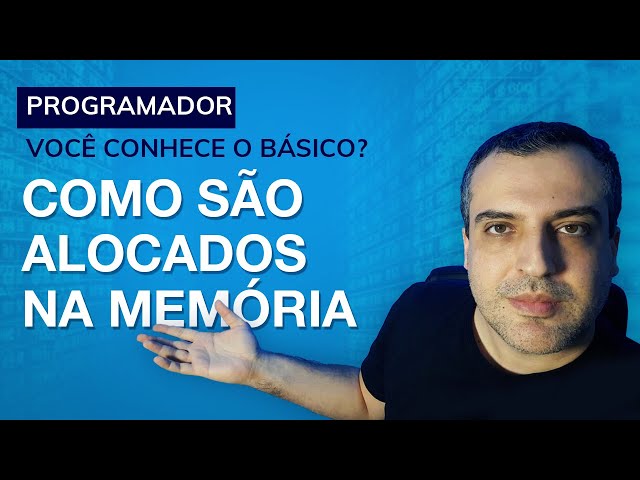 COMO UM PROGRAMA ARMAZENA DADOS NA MEMÓRIA