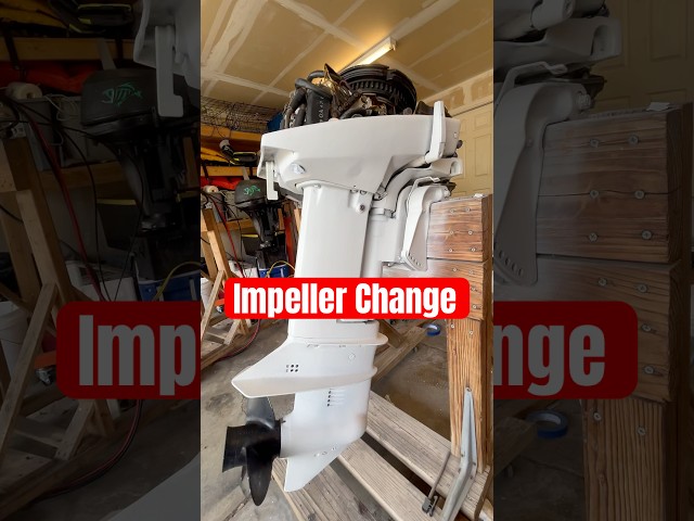 How to change the impeller for a Johnson/Evinrude 9.9/15hp outboard motor