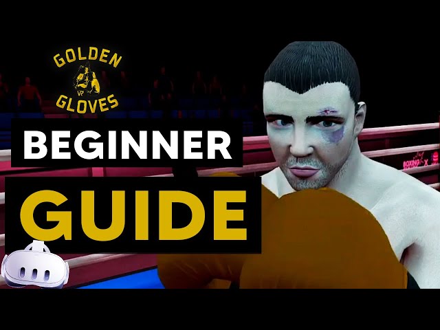 Golden Gloves VR  Tutorial - Golden Gloves VR2026 -Meta Quest 3/Quest 2/Quest 3s