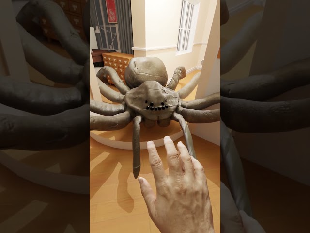 Spider Breaks into my House!