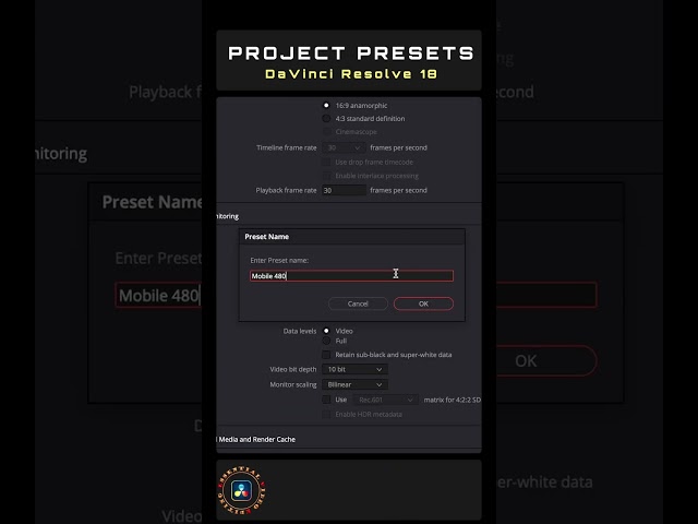 Project Presets in DaVinci Resolve 18