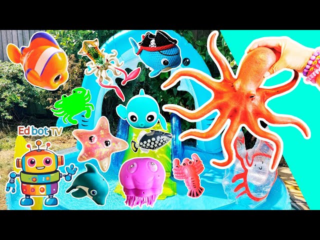Kids Learn | Sea Animal Names at the Shark Pool: Octopus Clownfish Crab Whale Fish
