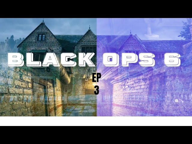 I got the code Call of Duty: BLACK OPS 6 campaign