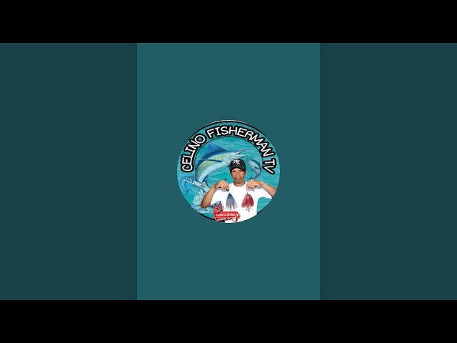 LIVE STREAM