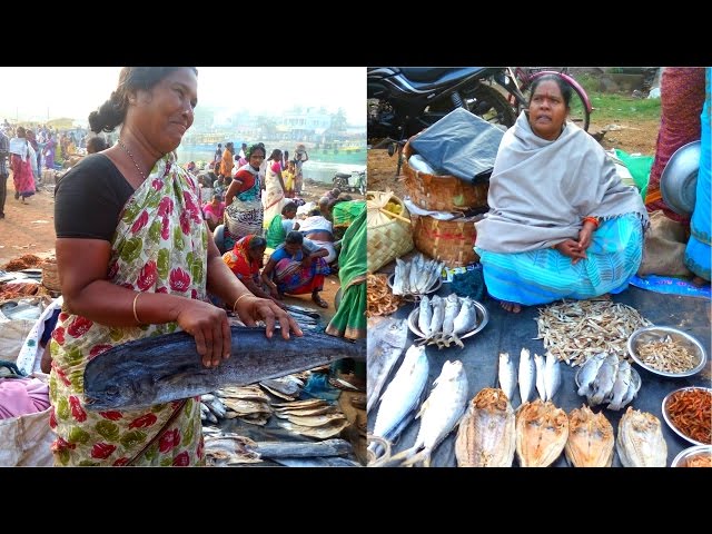 Dry Fish Market In My Village || Sea Food In Indian Fish Markets || Biggest Fish Market In Asia