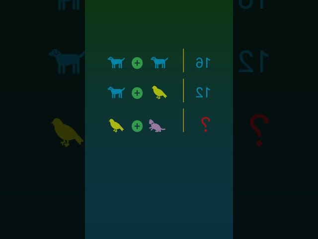 #challege Puzzle Challenge