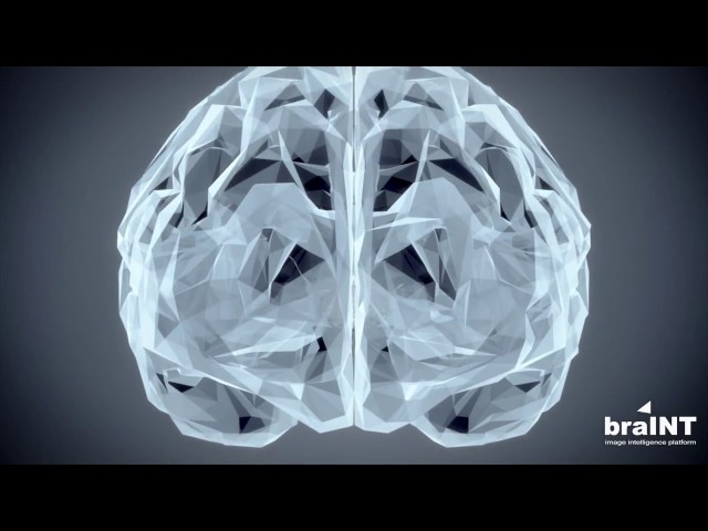 braINT - Image Intelligence Platform