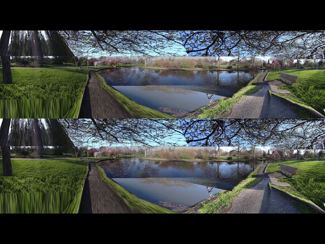 Memorial Park Pond 360 Spring v1 injected
