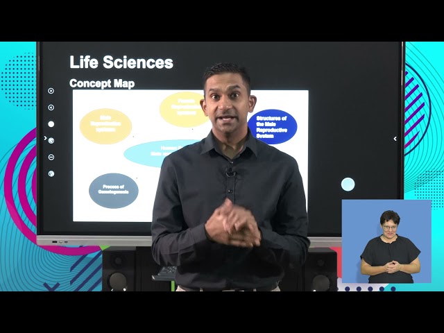 Life Sciences Human Reproduction Male And Female Reproductive Systems