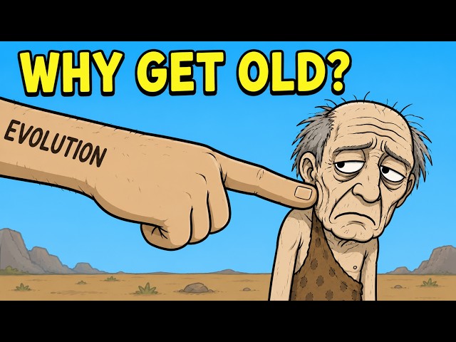 Why Didn't Evolution Remove Aging?