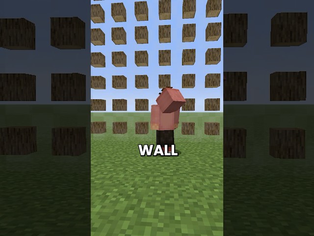 what if walls built THEMSELVES?