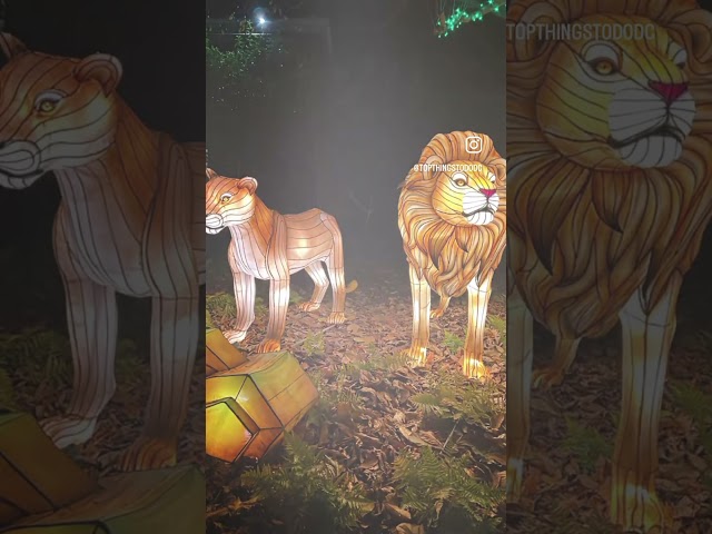 Smithsonian Zoolights