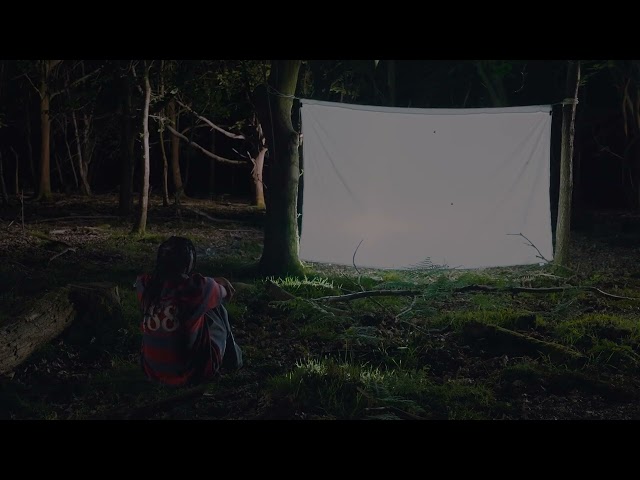 Amie Blu - trees for the woods (lyric video)