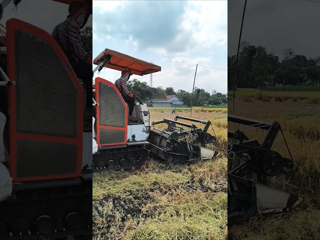COMBINE HARVESTER KUBOTA DC93 eps 110 #kombisawah #combineharvester #kubota