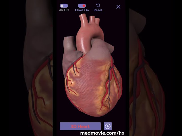 Medmovie Hx Heart App Demo — Cardiovascular Health Literacy Tool