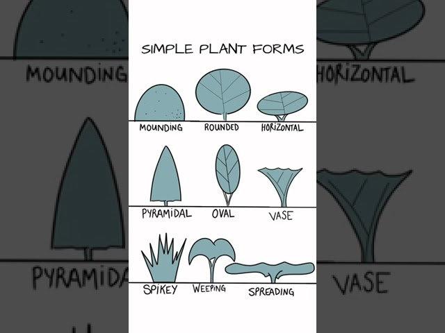 How to Draw A Garden Plan