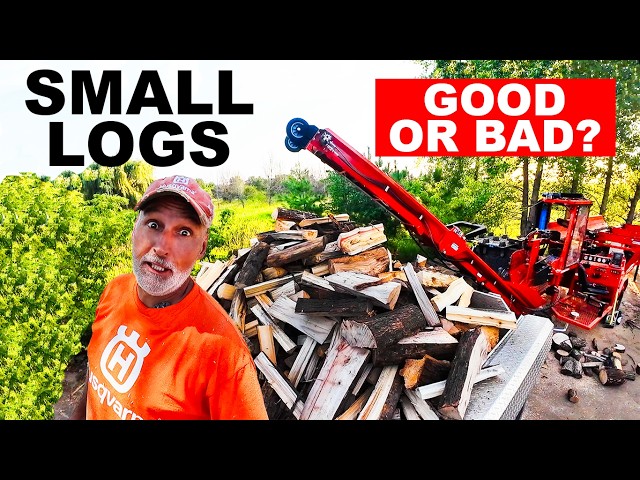 FIREWOOD PROCESSING SMALL LOGS...IS IT WORTH IT?