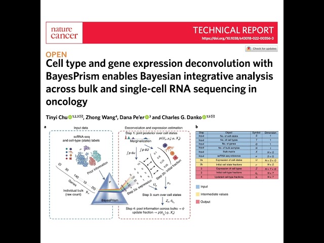 570-BayesPrism: Cell Type and Gene Expression Deconvolution