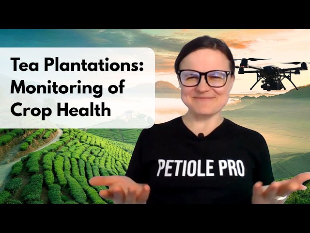 Monitor Crop Health with Drones