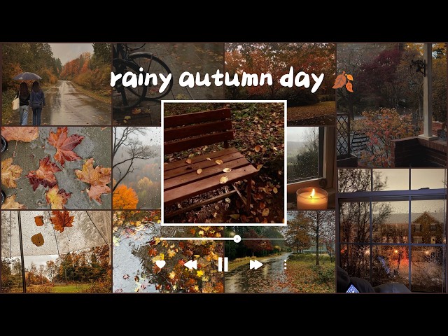 rainy autumn day || a playlist 🍂.°⋆