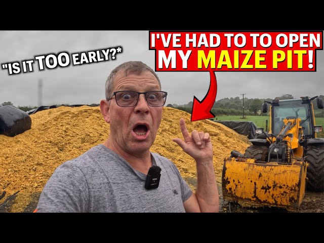Opening My Maize Pit MONTHS Before I Had To Last Year...