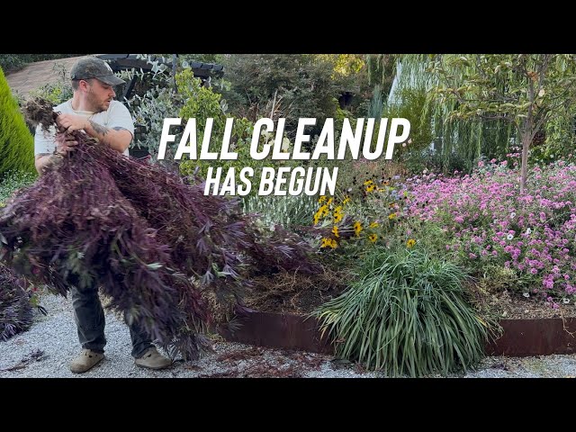 Time to Clean Up the Old Garden For Fall