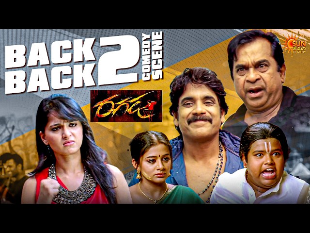 Ragada Ultimate Comedy Blast | Brahmanandam, Anushka & Nagarjuna Comedy Scenes | Telugu Comedy scene
