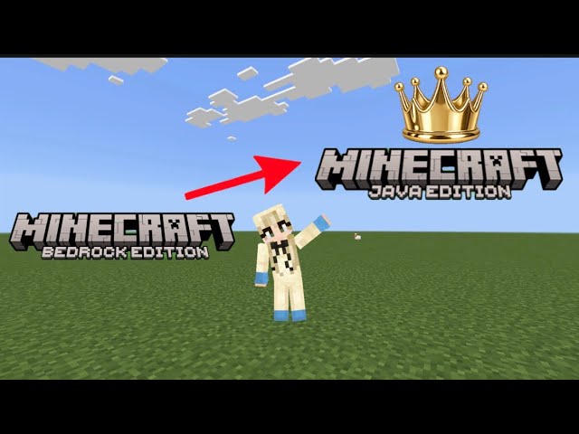 I got minecraft java edition!!!!