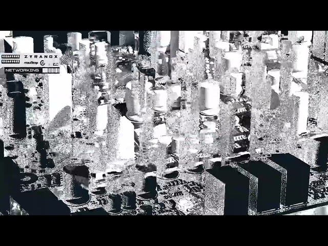 ZYRANOX - NETWORKING